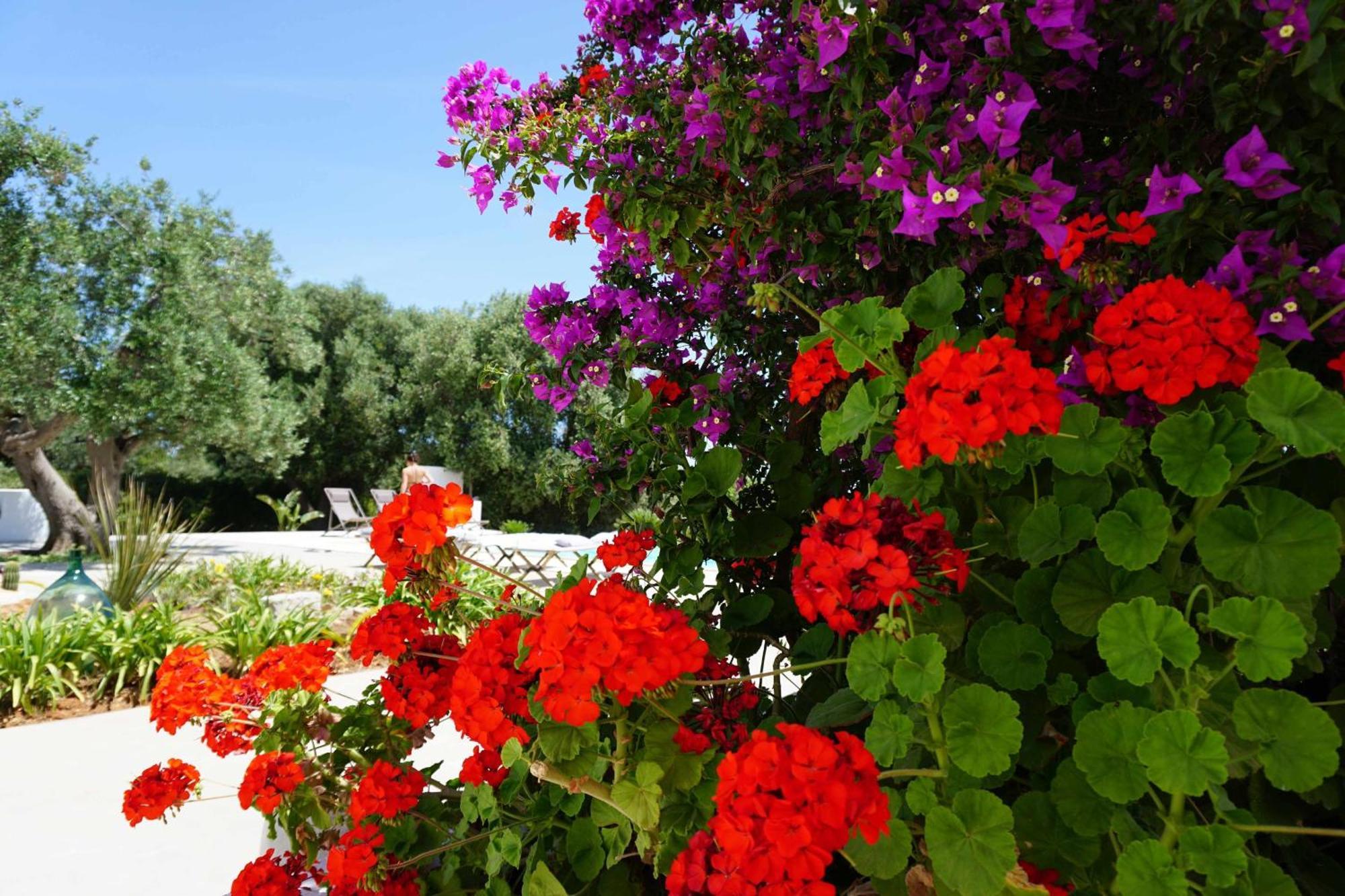 Trullo Melograno Villa Ostuni Esterno foto